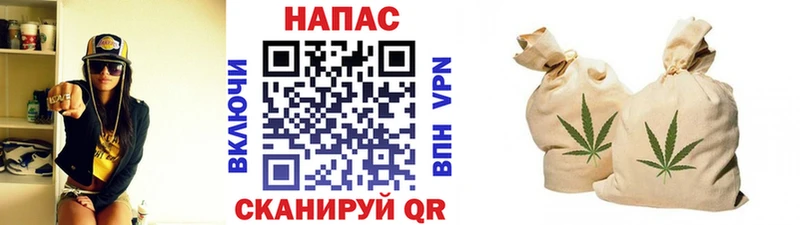 Каннабис план  где найти наркотики  Пестово 